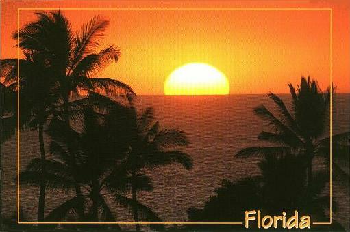 Florida Banner